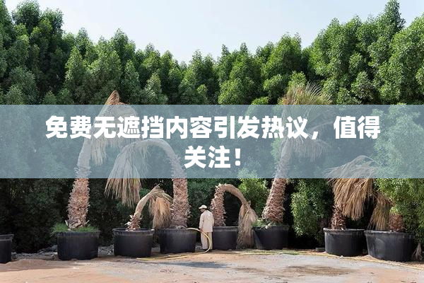 免费无遮挡内容引发热议，值得关注！