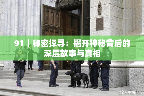 91丨秘密探寻：揭开神秘背后的深层故事与真相