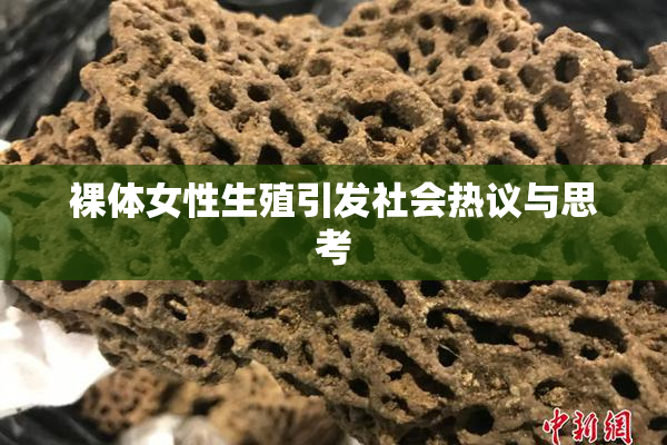 裸体女性生殖引发社会热议与思考