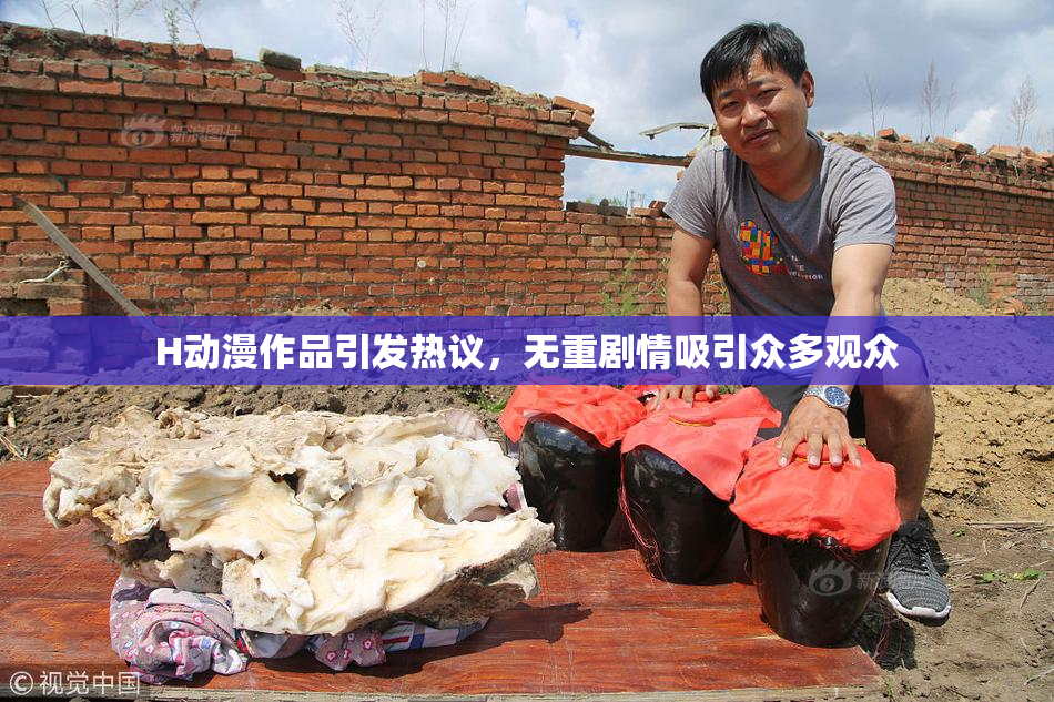 H动漫作品引发热议，无重剧情吸引众多观众
