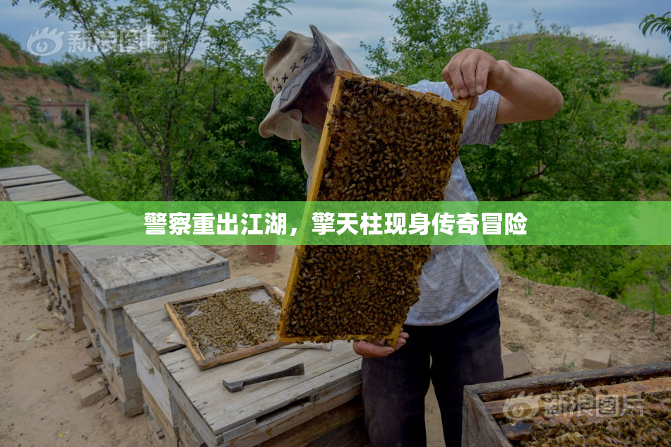 警察重出江湖，擎天柱现身传奇冒险