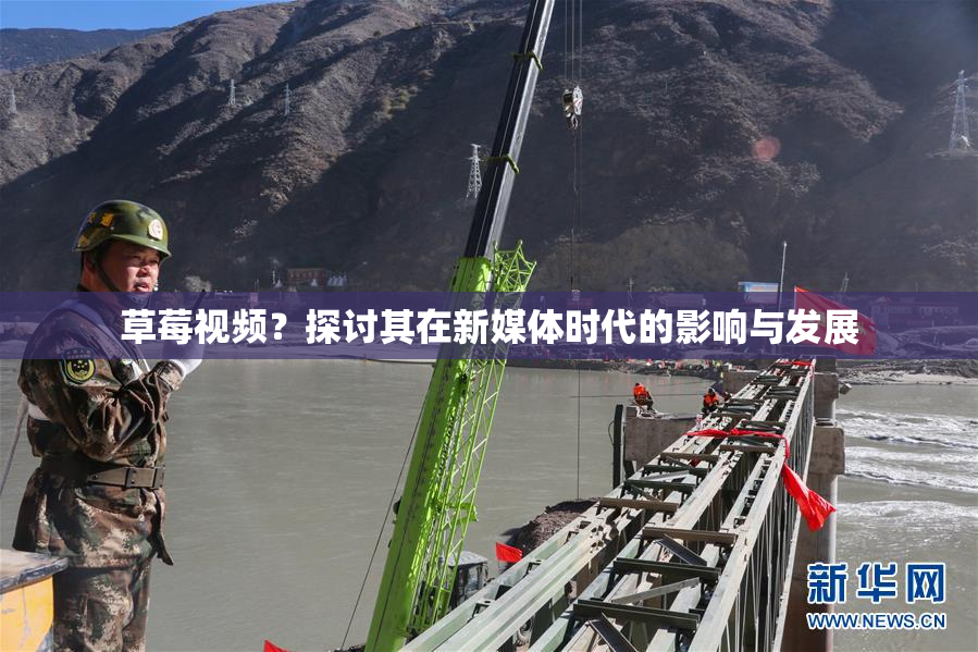草莓视频？探讨其在新媒体时代的影响与发展