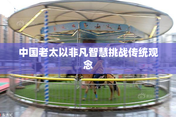 中国老太以非凡智慧挑战传统观念