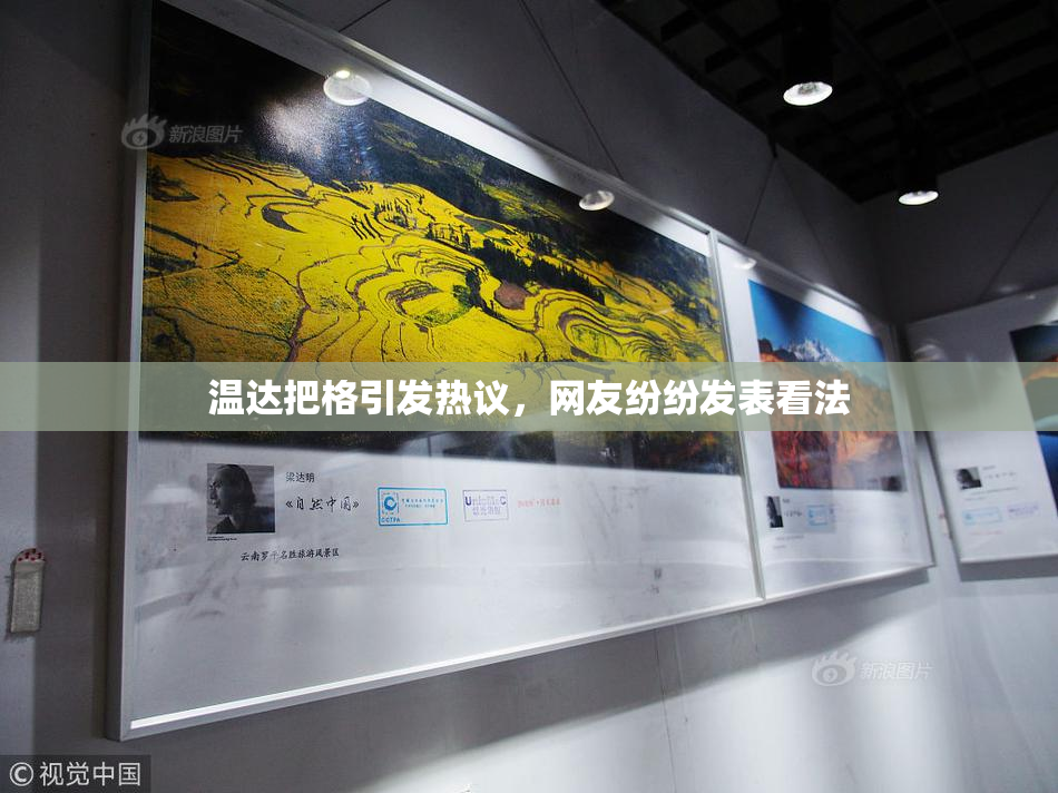 温达把格引发热议，网友纷纷发表看法