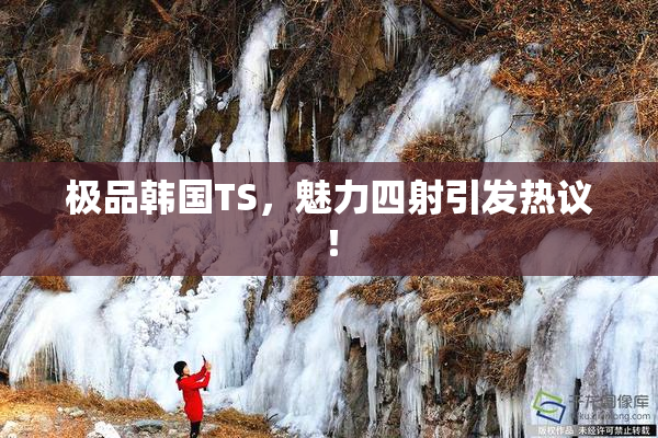 极品韩国TS，魅力四射引发热议！
