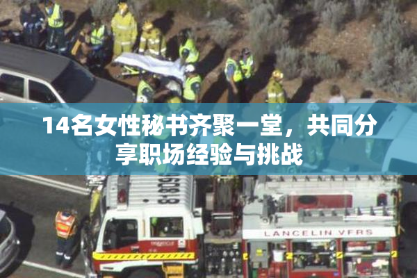 14名女性秘书齐聚一堂，共同分享职场经验与挑战
