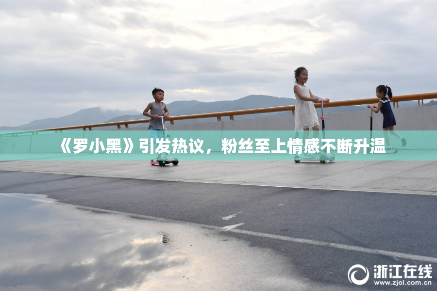 《罗小黑》引发热议，粉丝至上情感不断升温