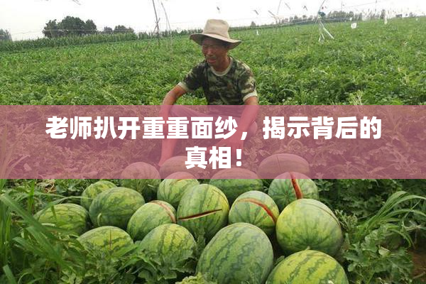 老师扒开重重面纱，揭示背后的真相！