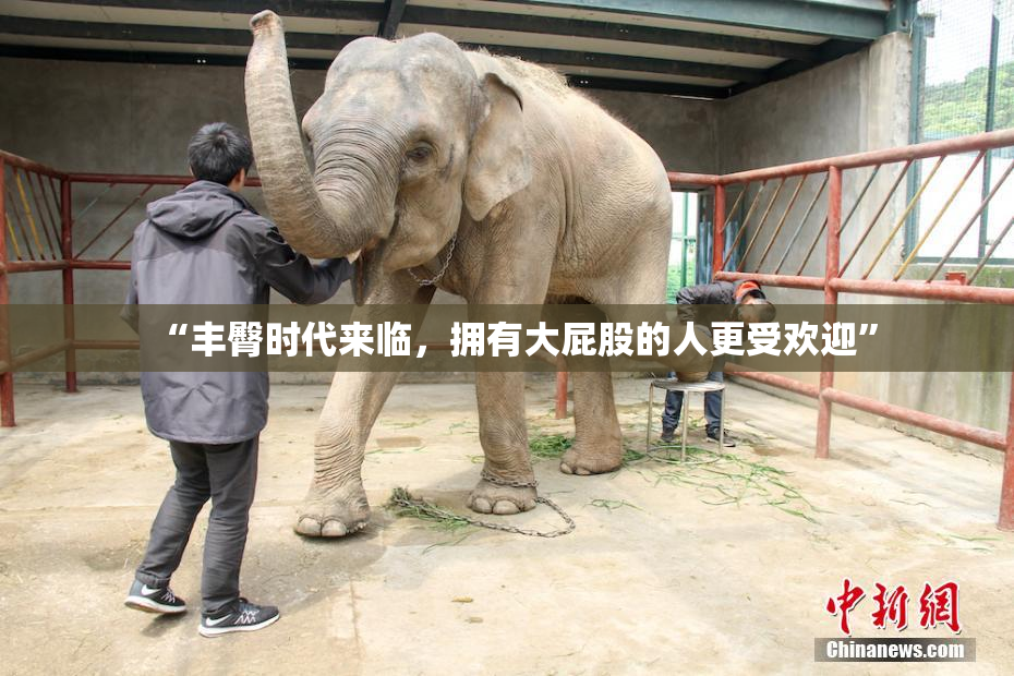 “丰臀时代来临，拥有大屁股的人更受欢迎”