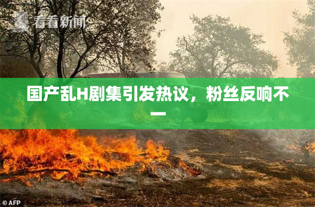 国产乱H剧集引发热议，粉丝反响不一