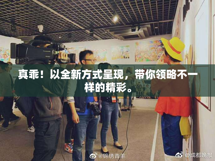 真乖！以全新方式呈现，带你领略不一样的精彩。