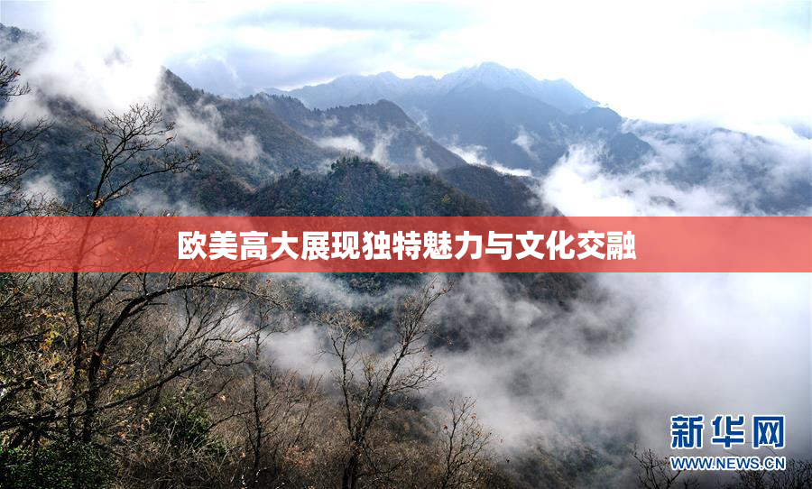 欧美高大展现独特魅力与文化交融