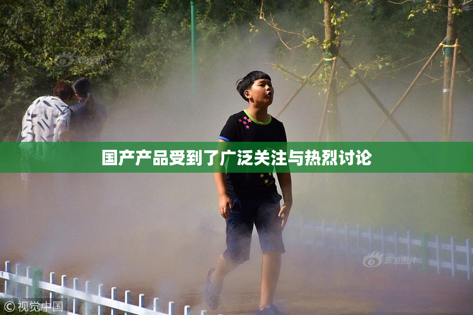 国产产品受到了广泛关注与热烈讨论