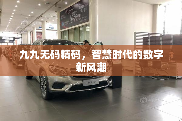 九九无码精码，智慧时代的数字新风潮