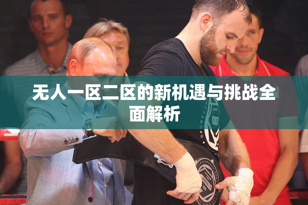 无人一区二区的新机遇与挑战全面解析