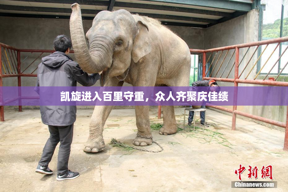 凯旋进入百里守重，众人齐聚庆佳绩