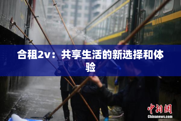 合租2v：共享生活的新选择和体验