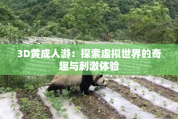 3D黄成人游：探索虚拟世界的奇趣与刺激体验