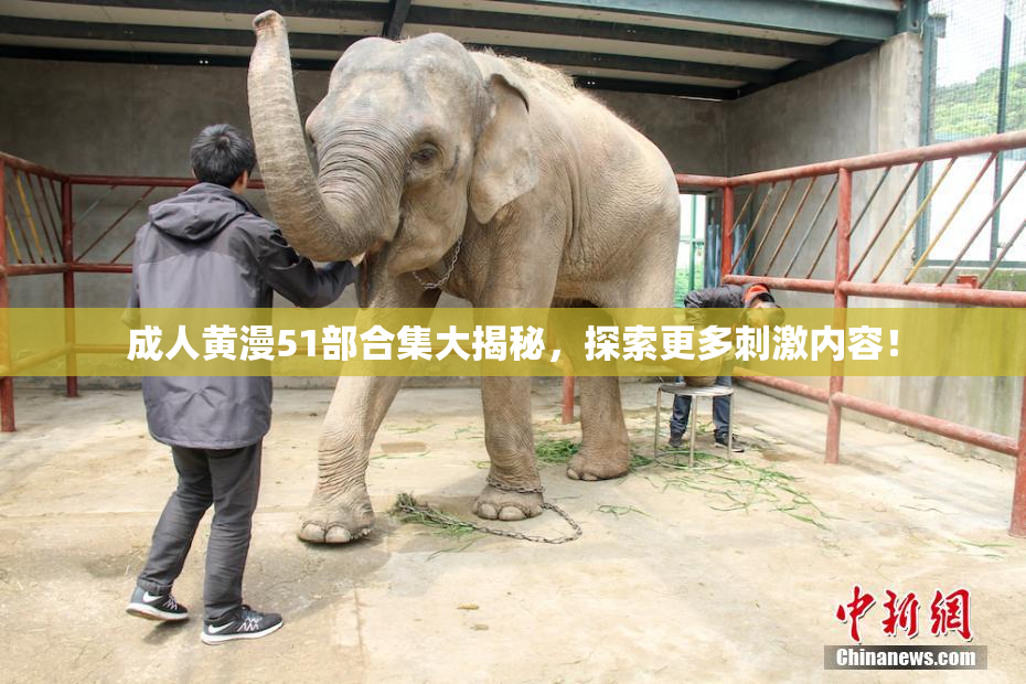 成人黄漫51部合集大揭秘，探索更多刺激内容！