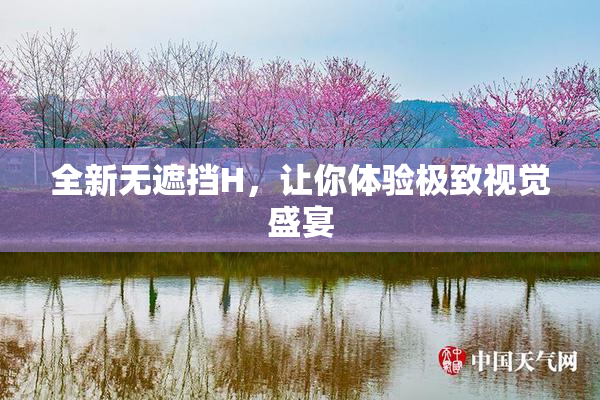 全新无遮挡H，让你体验极致视觉盛宴
