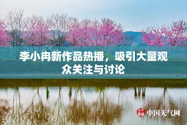 李小冉新作品热播，吸引大量观众关注与讨论