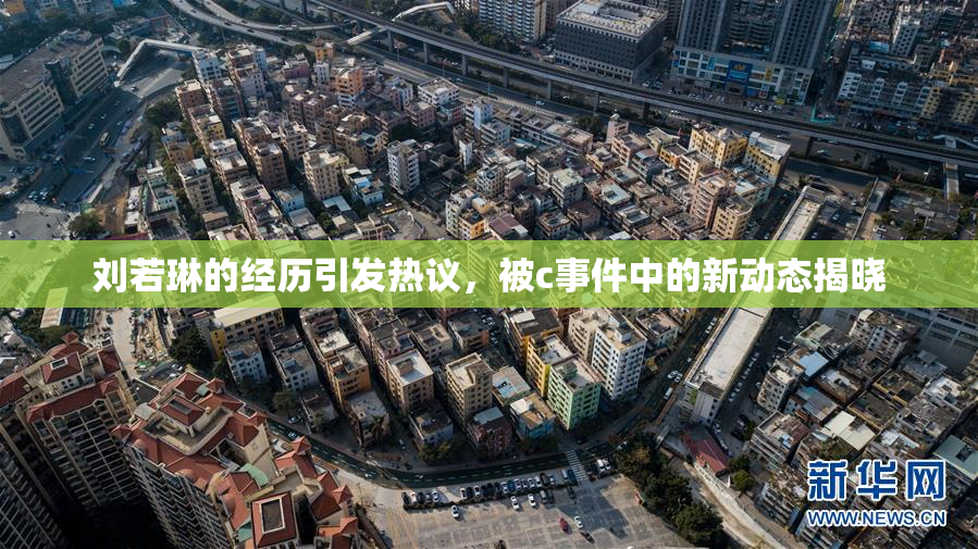刘若琳的经历引发热议，被c事件中的新动态揭晓