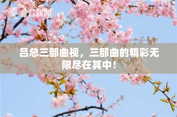吕总三部曲视，三部曲的精彩无限尽在其中！