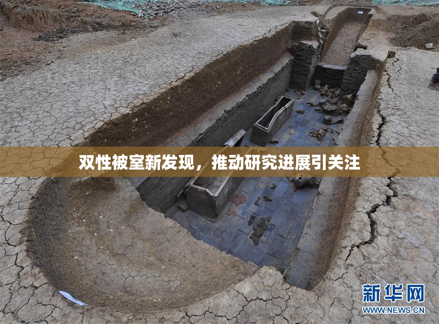 双性被室新发现，推动研究进展引关注