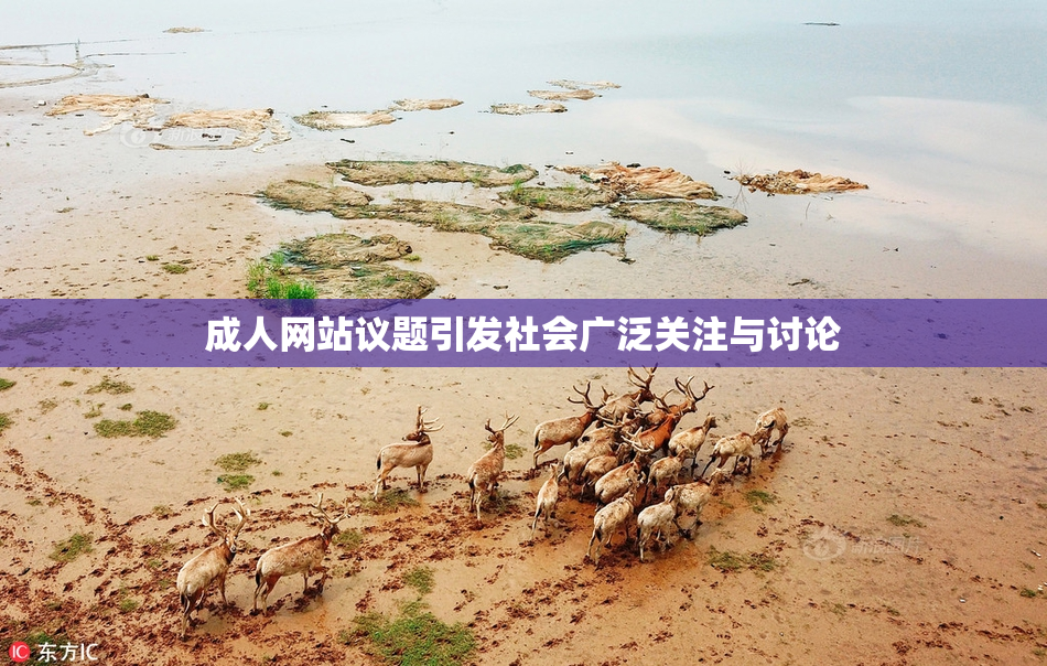 成人网站议题引发社会广泛关注与讨论