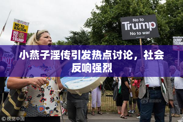 小燕子淫传引发热点讨论，社会反响强烈