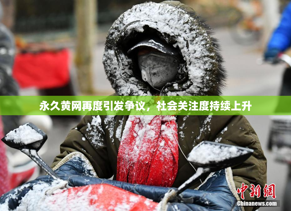 永久黄网再度引发争议，社会关注度持续上升