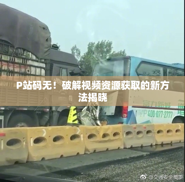 P站码无！破解视频资源获取的新方法揭晓