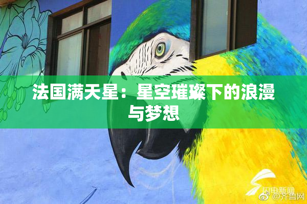 法国满天星：星空璀璨下的浪漫与梦想