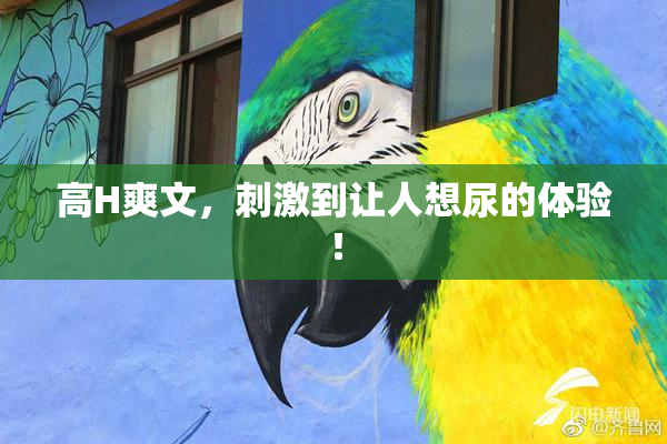 高H爽文，刺激到让人想尿的体验！