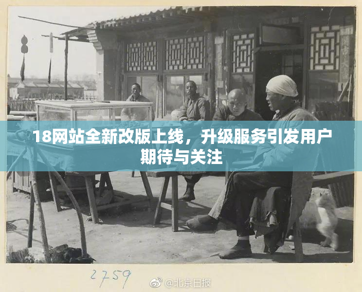 18网站全新改版上线，升级服务引发用户期待与关注