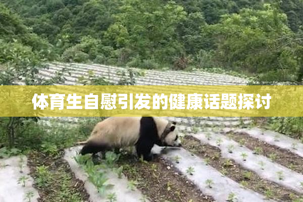 体育生自慰引发的健康话题探讨