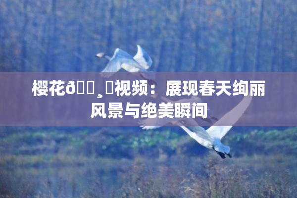 樱花🌸‌视频：展现春天绚丽风景与绝美瞬间