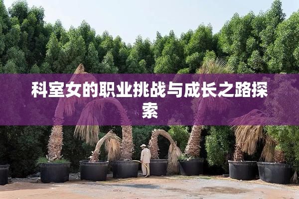 科室女的职业挑战与成长之路探索
