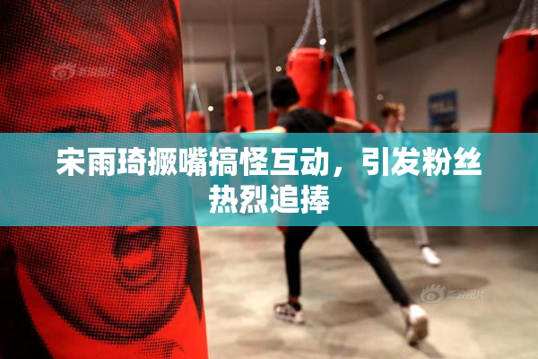 宋雨琦撅嘴搞怪互动，引发粉丝热烈追捧