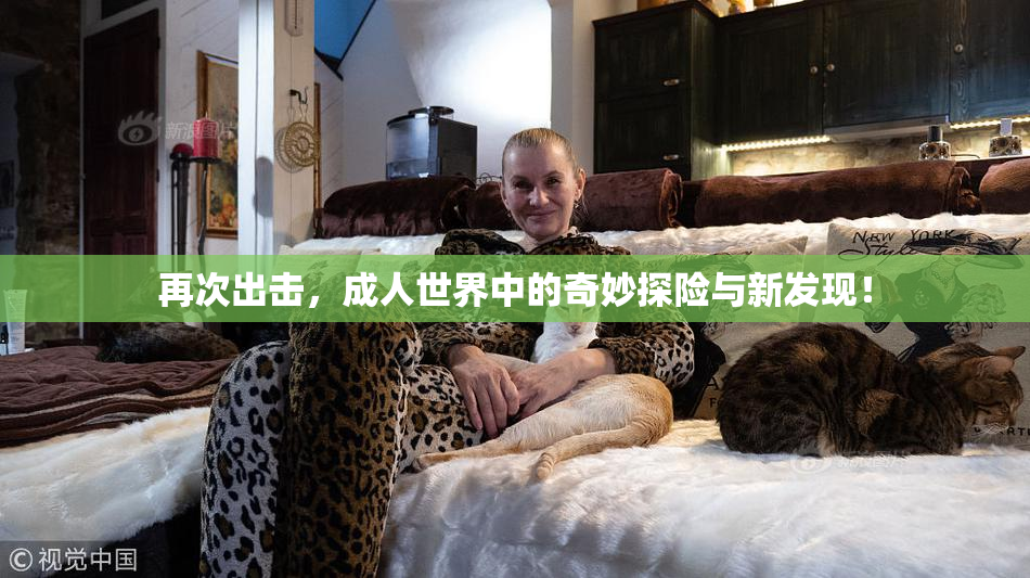 再次出击，成人世界中的奇妙探险与新发现！