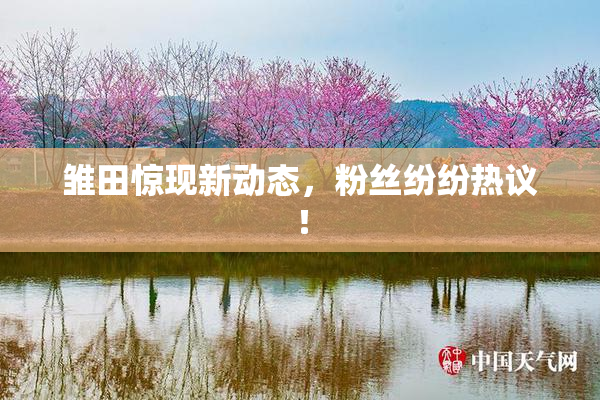 雏田惊现新动态，粉丝纷纷热议！