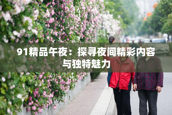 91精品午夜：探寻夜间精彩内容与独特魅力