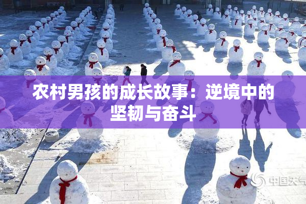 农村男孩的成长故事：逆境中的坚韧与奋斗