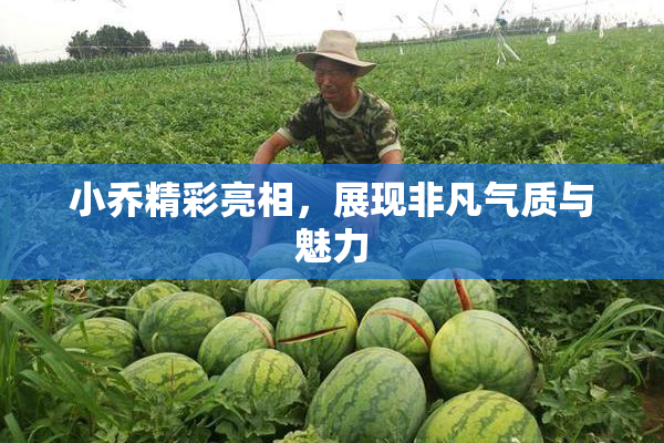 小乔精彩亮相，展现非凡气质与魅力