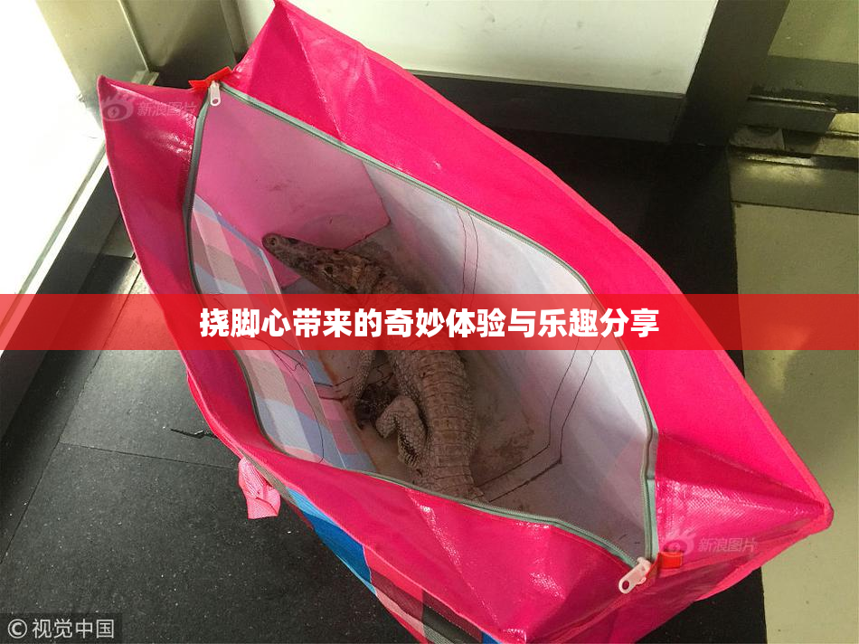 挠脚心带来的奇妙体验与乐趣分享