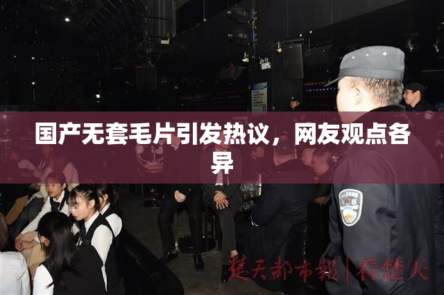 国产无套毛片引发热议，网友观点各异