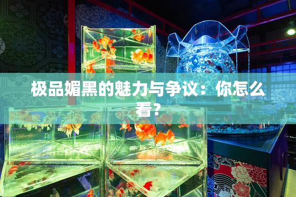 极品媚黑的魅力与争议：你怎么看？