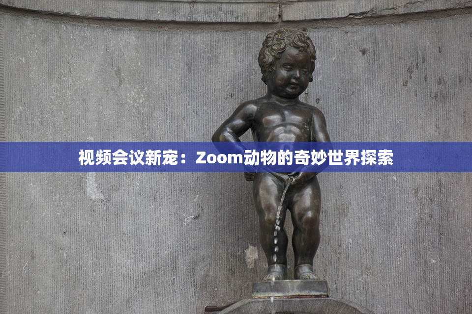 视频会议新宠：Zoom动物的奇妙世界探索