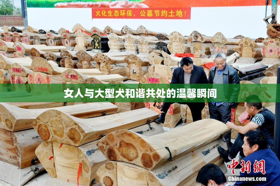 女人与大型犬和谐共处的温馨瞬间