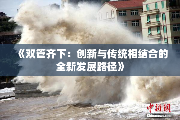 《双管齐下：创新与传统相结合的全新发展路径》